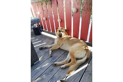 Vakantieappartement Gezinsvakantie Kitzingen