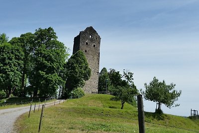 Ferienwohnung Burgblick in