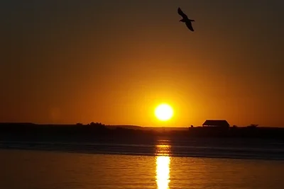 Hostal LlanSuá Appartement 1