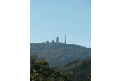 Ferienwohnung Bradatsch
