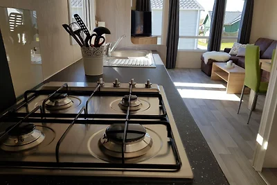Chalet Schwarzkopfmöwe am
