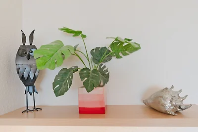 Berolina Wohnung 504