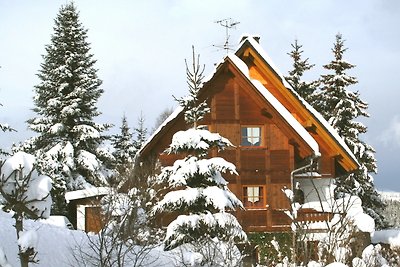 Vakantieappartement Gezinsvakantie Feldberg