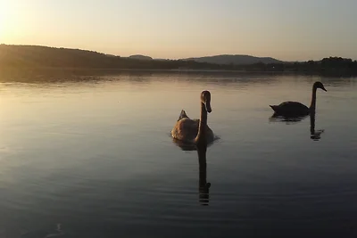 Ferienhaus Kaiserfelder