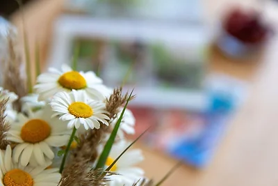 Appartamento Vacanza con famiglia Pellworm