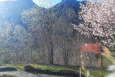 Alpenschwänchen Luxus -