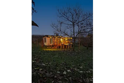 Tiny Haus - Sternenblick - Sauna