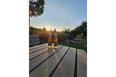 Vakantiehuis Ontspannende vakantie Wolfshagen im Harz