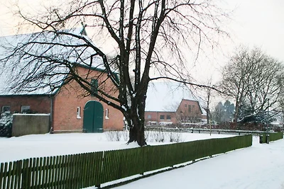 Ferienwohnung Helmsstrasse II