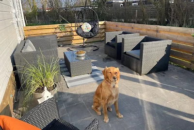 Traumlage neues Ferienhaus Nr.45