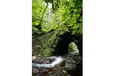 Drei Tannen - Wohnung 12 -