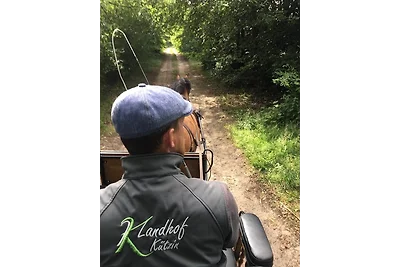 Vakantiehuis Ontspannende vakantie Vellahn