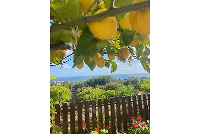 Apartamento Vacaciones familiares Camerota