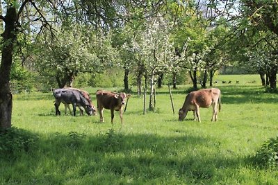 Vakantieappartement Gezinsvakantie Schlier