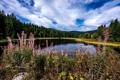 Appartamento Vacanza con famiglia Schluchsee