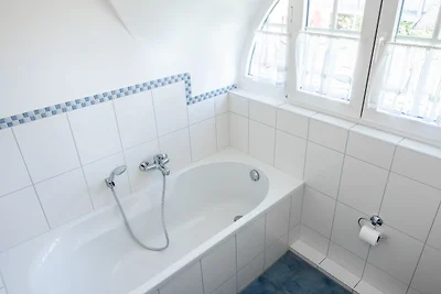 Premium Reethaus Delphin C5 mit