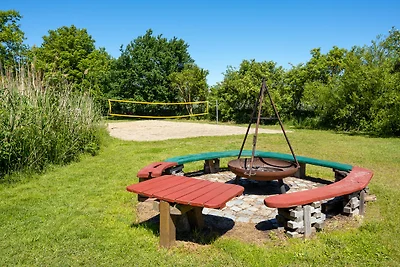 C 3 Reethaus Löwe mit