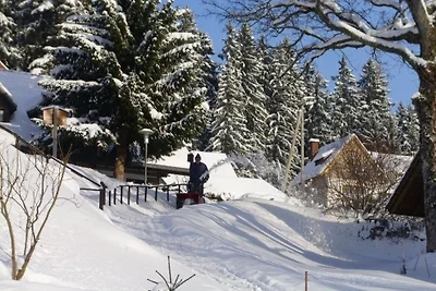 Ferienhaus Elfi