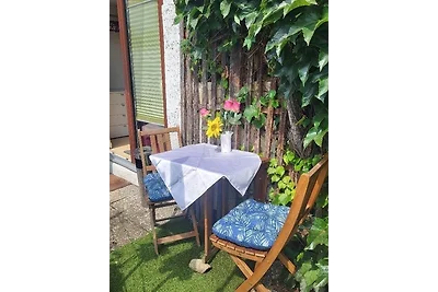 1Zimmerapp.Seerose