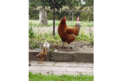 Zweibettzimmer "Marie"