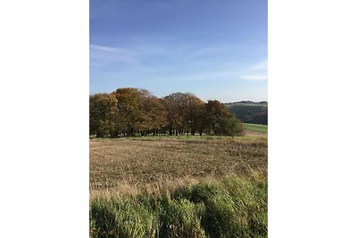 Vakantieappartement Gezinsvakantie Freilingen (Blankenheim)