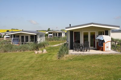 Accommodatie Vakantie op de boerderij Schashagen