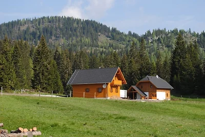 Hüttendorf Flattnitz - Typ C