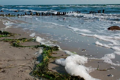 Ferienwohnung Trumann Nr. 2