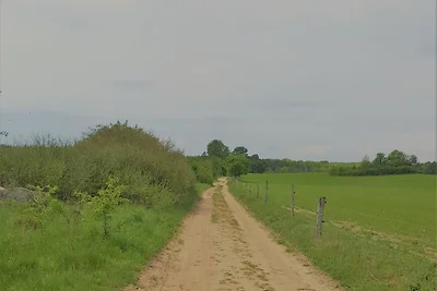 Fewo Seenlandschaft