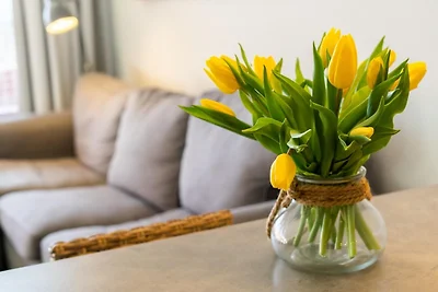 Apartamento Vacaciones familiares Dahme