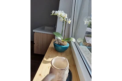 Ferienhaus zum Holzmichel