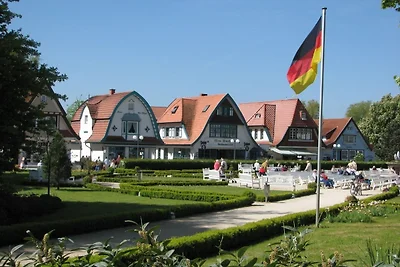 Kastanienallee - ABC66