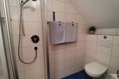 DBZ Nr. 4 HAUS AM GEISSBOCK