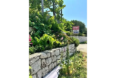 Pljesa Cala