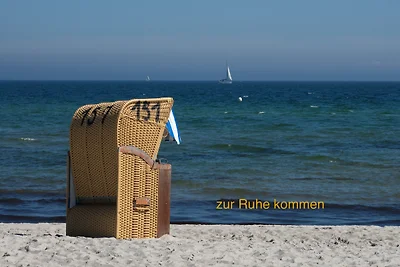 Vakantieappartement Gezinsvakantie Wendtorf