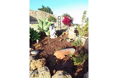 Casa Rosa, Arico Viejo/ La Sabinita