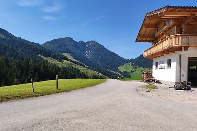 Vakantieappartement Gezinsvakantie Wildschönau