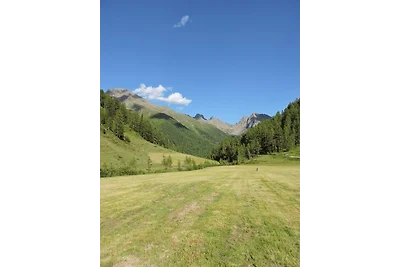 Vakantiehuis Ontspannende vakantie Außervillgraten