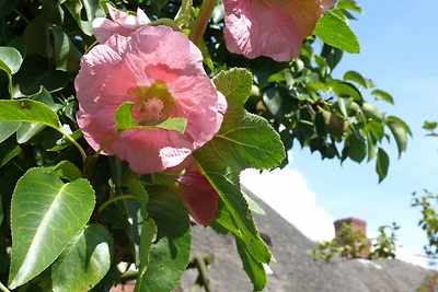 Haus Halligblick, Ferienwohnungen