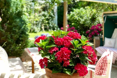 Vakantieappartement Gezinsvakantie Kühlungsborn