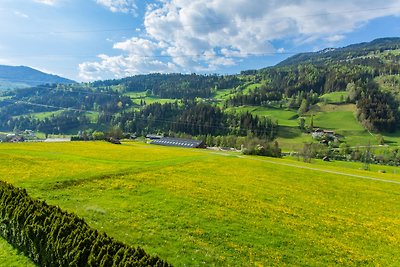 Vakantieappartement Gezinsvakantie Schladming