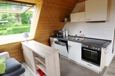 Vakantieappartement Gezinsvakantie Feldberg