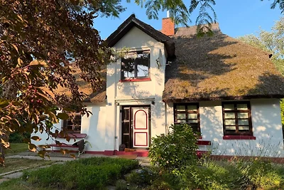Domek letniskowy Urlop wypoczynkowy Dierhagen