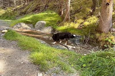 Ferienwohnung Malteser