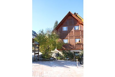 Appartamento Vacanza con famiglia Feldberg