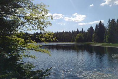 Vakantieappartement Gezinsvakantie Altenberg