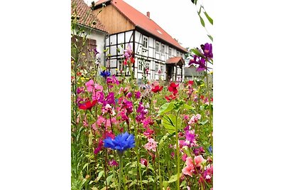 Landhaus Weserbergland - Elsa