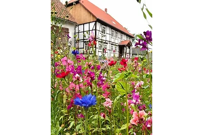 Landhaus Weserbergland - Elsa