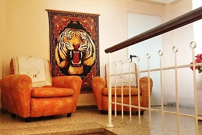 Hostal Roberto y Lidia Appartement