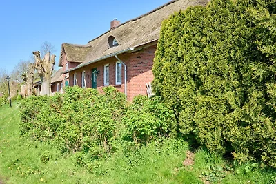 Reetdachhaus Sünsbarg